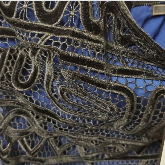 Bcbgmaxazria Strapless Embroidered Lace Navy Tulle Gown Size 4 - Picture 2 of 11